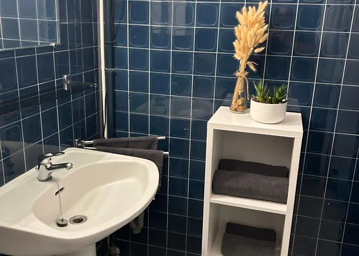 Le De Simon Au Pied De La Cite Apartman Carcassone